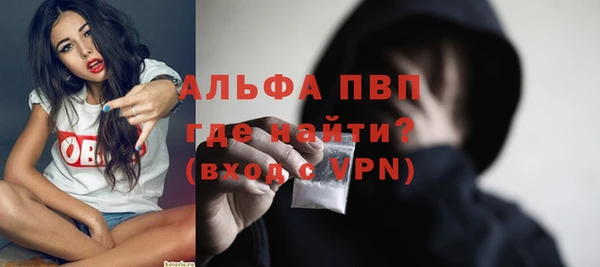 spice Новозыбков