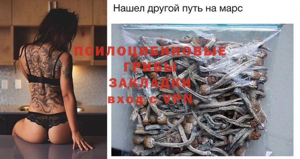 таблы Новодвинск