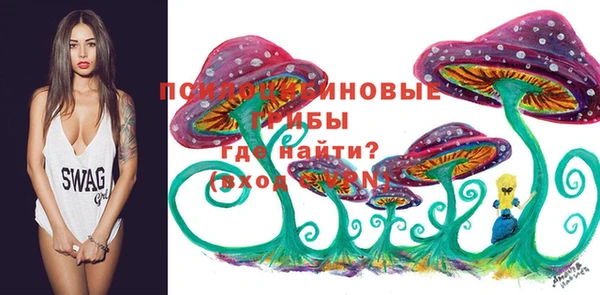 ГАЛЛЮЦИНОГЕННЫЕ ГРИБЫ Беслан