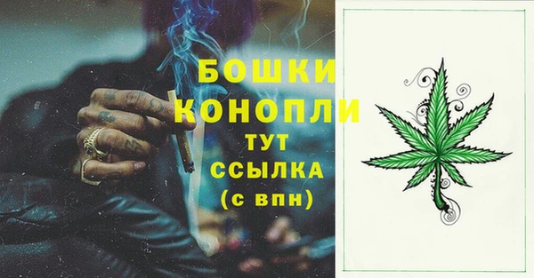 дмт Нея