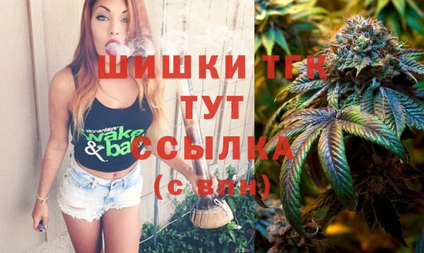 spice Новозыбков