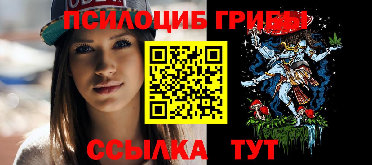 Псилоцибиновые грибы Cubensis  Людиново 